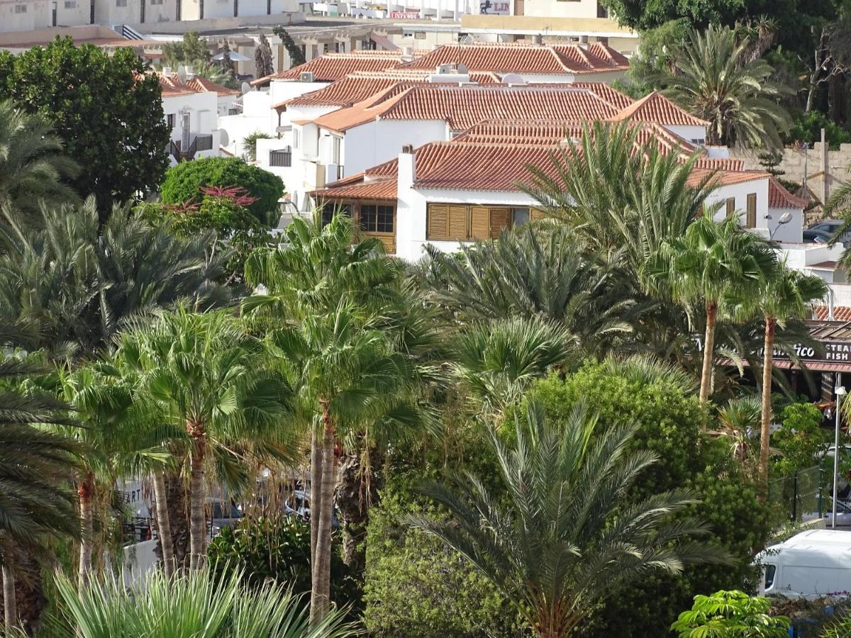 Las Americas Luxury Low-Cost Apartment With Terrace & Views Playa de las Américas Eksteriør billede
