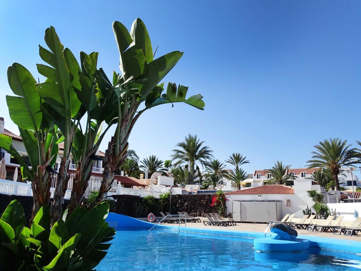 Las Americas Luxury Low-Cost Apartment With Terrace & Views Playa de las Américas Eksteriør billede